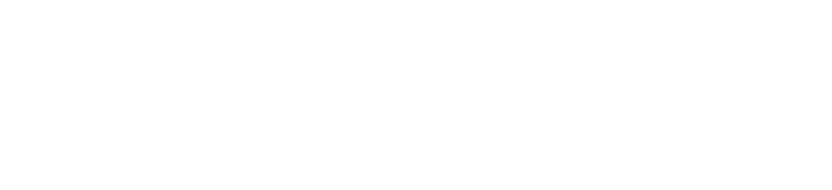 Motorline Professional